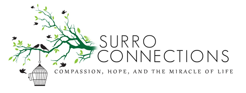 Surro Connections Logo